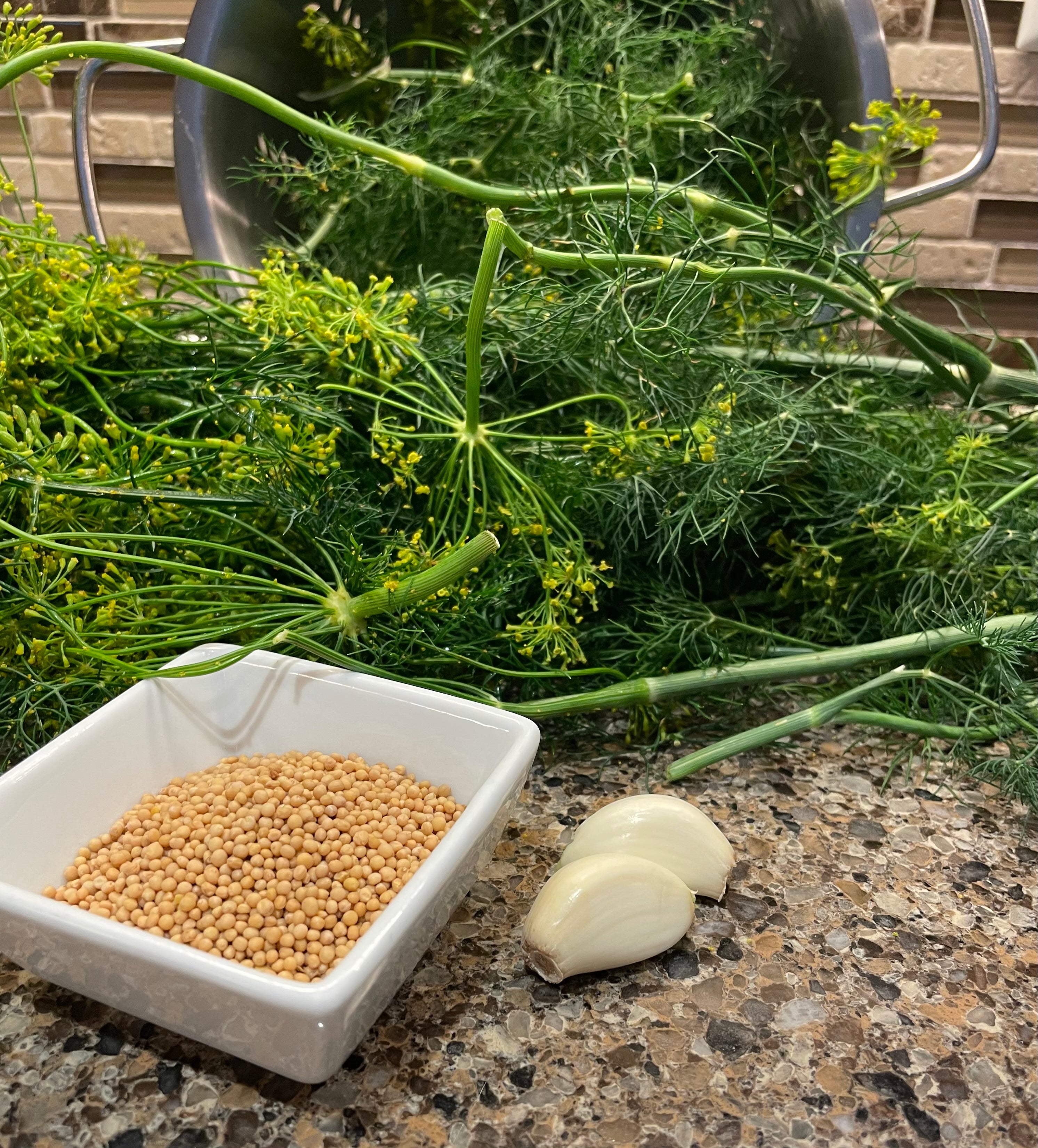 The fresh, fragrant dill and garlic used to season our gourmet, small-batch popcorn.